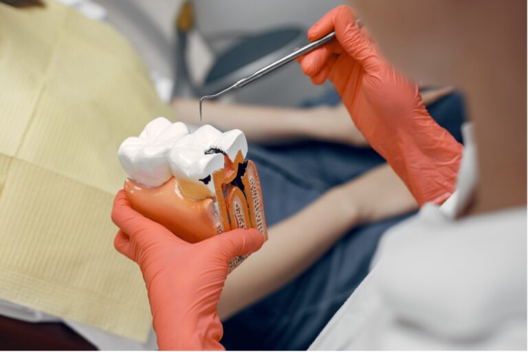 Professionista illustra l’interno di un dente su un modello anatomico, immagine illustrativa.